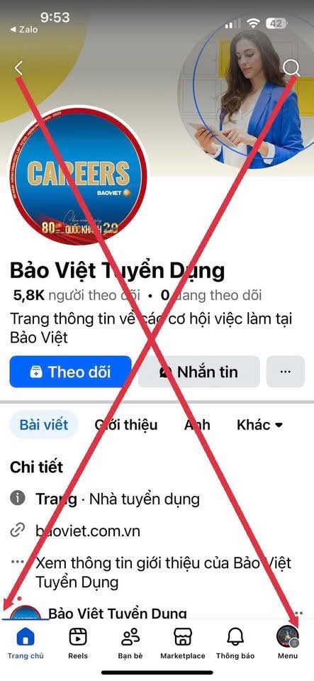 Fake BV FB